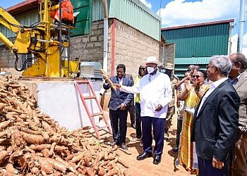 Museveni urges cassava processors to add value using indigenous nutritious varieties