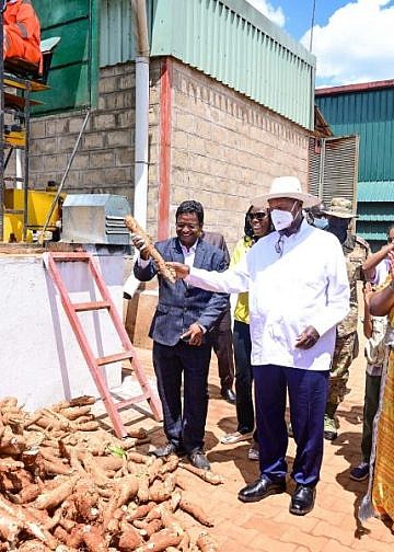 Museveni urges cassava processors to add value using indigenous nutritious varieties