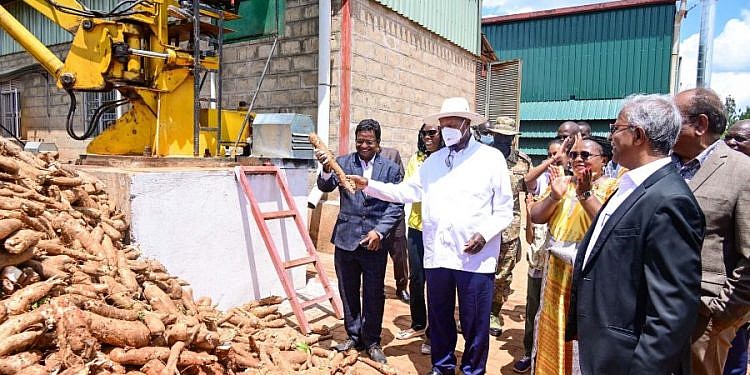 Museveni urges cassava processors to add value using indigenous nutritious varieties