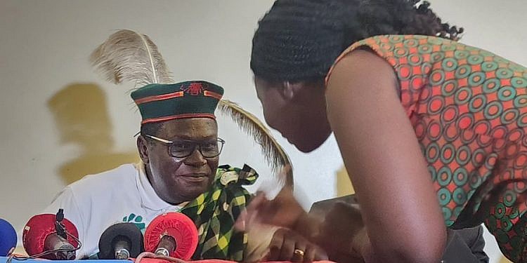 Mao wins fourth term as DP president