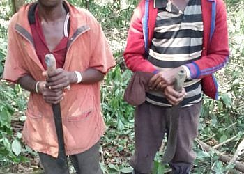 Eight arrested over illegal land clearing in Kagombe Forest
