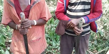 Eight arrested over illegal land clearing in Kagombe Forest