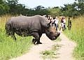 UWA dismisses false reports on Ziwa Rhino Sanctuary closure