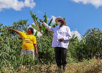 How shs1 million PDM cash transformed Butambala woman’s life