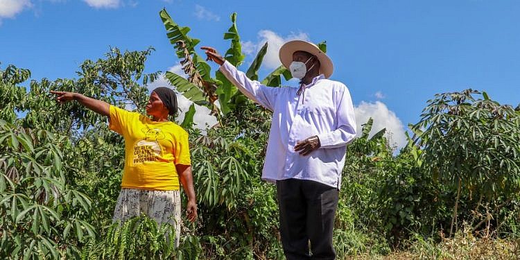 How shs1 million PDM cash transformed Butambala woman’s life