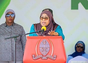 Tanzania bans foreigners from engaging in small businesses