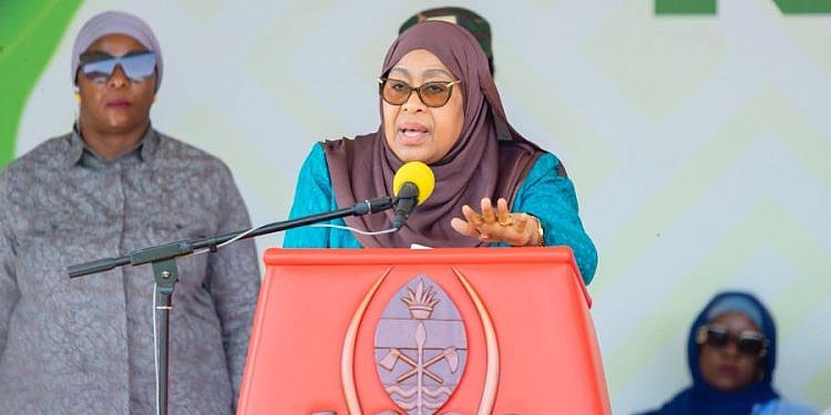 Tanzania bans foreigners from engaging in small businesses