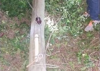 Two nabbed in operation targeting electricity infrastructure vandals in Wakiso District
