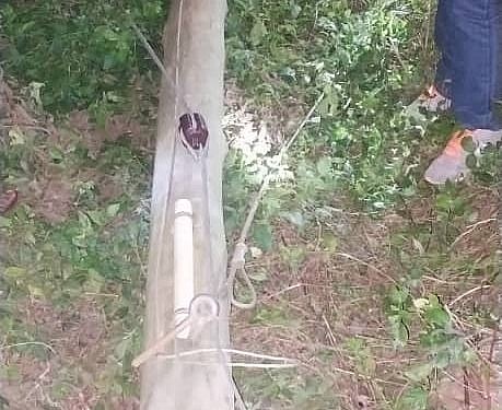 Two nabbed in operation targeting electricity infrastructure vandals in Wakiso District