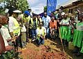 Rotary Club of Bulindo plants 1,000 trees at St. Kizito Primary School in Wakiso to curb climate change