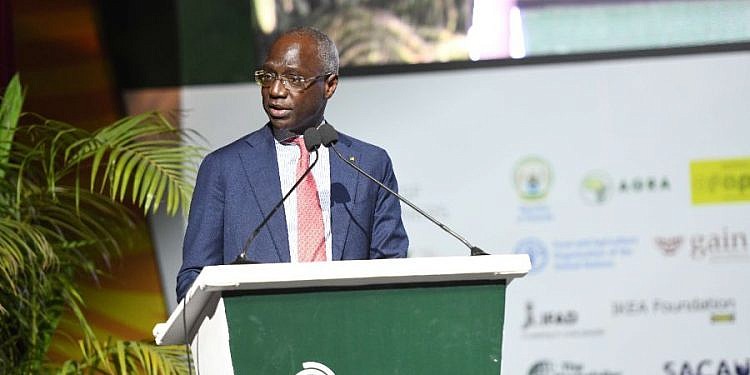 Over 6,000 stakeholders to grace Africa food systems forum in Senegal