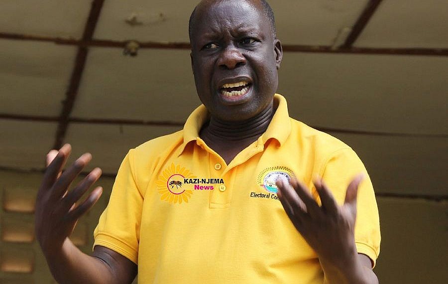 NRM trashes claims of postponing party primaries
