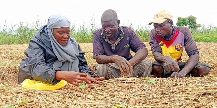 SMEs to benefit from new climate-resilient seed innovation