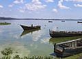 Seven dead as boast capsizes on Lake Kyoga