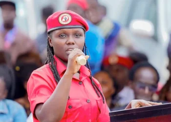 Head of NUPs’ Leadership Training School remanded over unlawful military drills