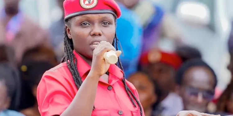 Head of NUPs’ Leadership Training School remanded over unlawful military drills