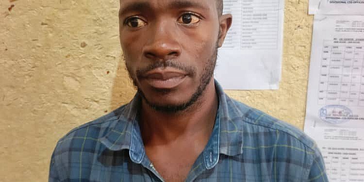 TikTok creator arrested for spreading fake news on MP Nsibambi’s death