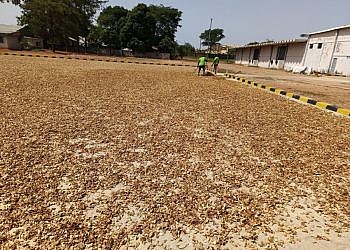 Aavishkaar Capital invests $5million  in Horizon Group to strengthen African spice supply chain