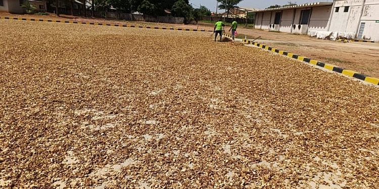 Aavishkaar Capital invests $5million in Horizon Group to strengthen African spice supply chain