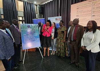 Child labour on the rise in Busoga, refugee settlements, says new report