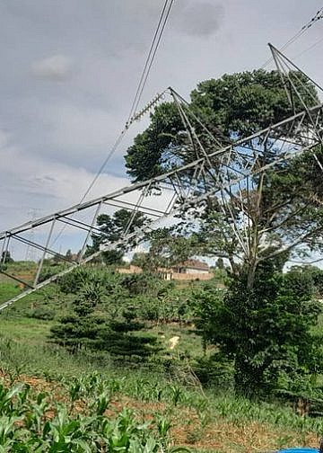 Suspected power vandal dies while tampering with high voltage transmission tower