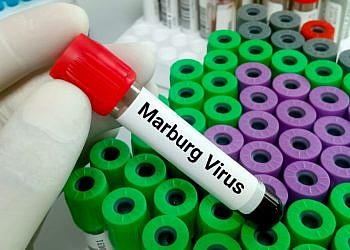 Ethiopia confirms first Marburg outbreak 