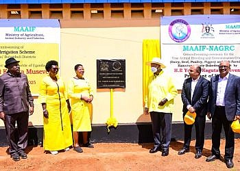 Museveni commissions shs71bn Achomai irrigation scheme in Bukedea