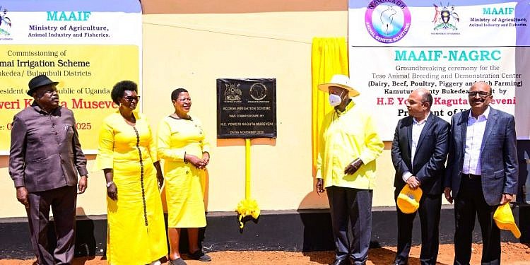 Museveni commissions shs71bn Achomai irrigation scheme in Bukedea