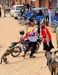 Law society slams police for unleashing dogs at opposition political rallies
