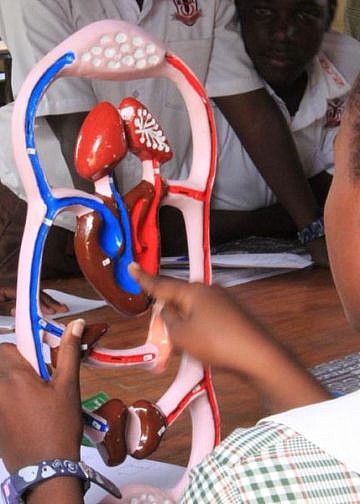 Science kits revolutionize learning at Coopil Primary School in Gulu