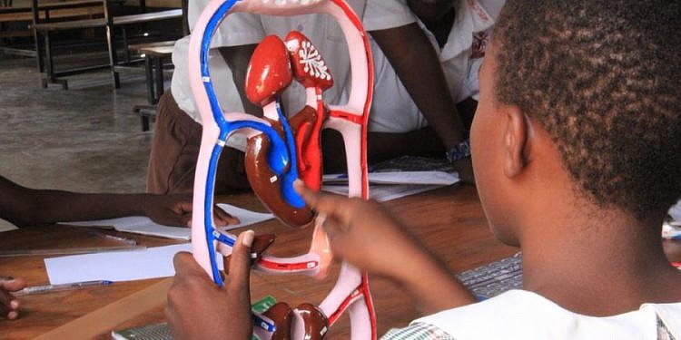 Science kits revolutionize learning at Coopil Primary School in Gulu