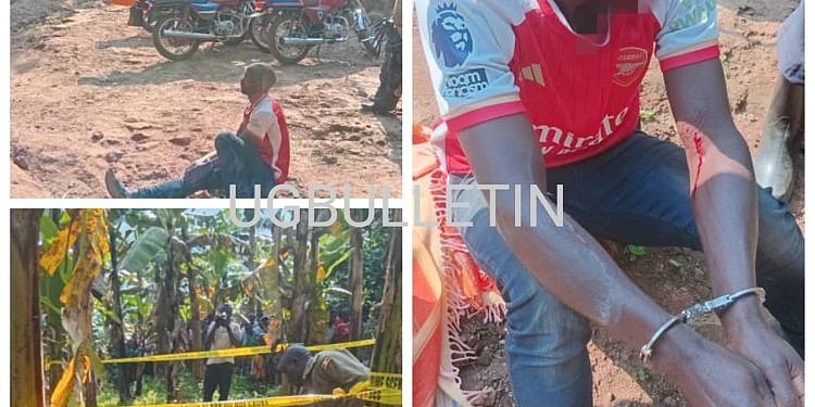 Man arrested over killing his aunt in Rwampara