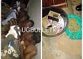 10 arrested as Police bust drug den in Buwate–Najjera