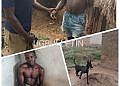 Police dog sniffs out motorcycle thief from pit latrine in Nebbi