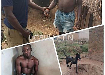 Police dog sniffs out motorcycle thief from pit latrine in Nebbi