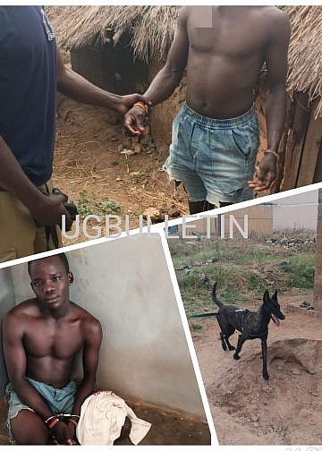 Police dog sniffs out motorcycle thief from pit latrine in Nebbi