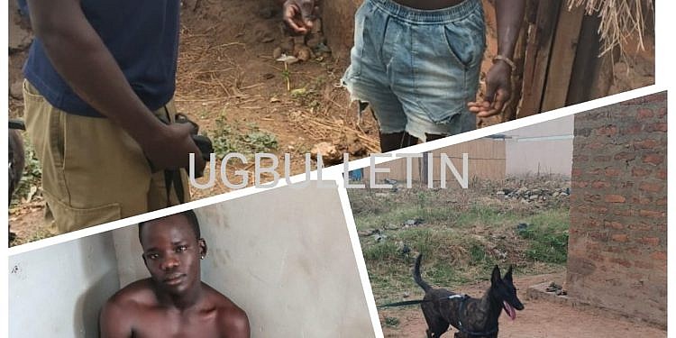 Police dog sniffs out motorcycle thief from pit latrine in Nebbi
