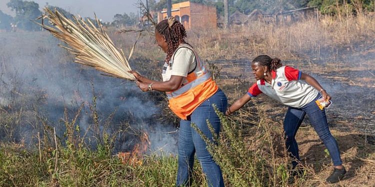 UEDCL decries bush burning damaging electricity poles in Northern Uganda