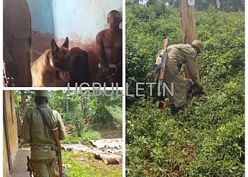 Police dog traces suspects involved in electricity vandalism in Mukono, two arrested