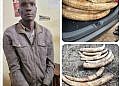 Man arrested with 154kg of elephant tusks in Nwoya