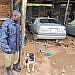 Police dog tracks down suspects in murder of 34-year-old man in Wandegeya