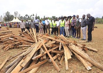 World Bank-backed project pushes to close fuelwood gap in Kyangwali refugee settlement