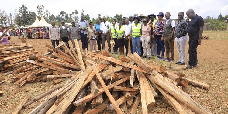 World Bank-backed project pushes to close fuelwood gap in Kyangwali refugee settlement