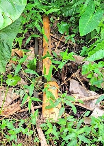 Matugga: Police recover rifle stolen during Stabex fuel station raid