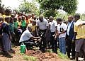 Microfinance Support Centre plants 800 fruit trees in Butambala to replenish environment