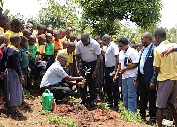 Microfinance Support Centre plants 800 fruit trees in Butambala to replenish environment
