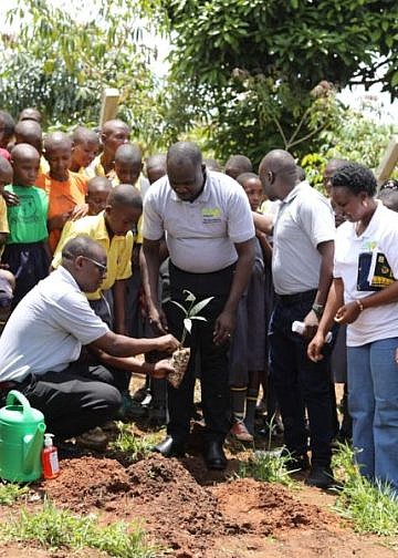 Microfinance Support Centre plants 800 fruit trees in Butambala to replenish environment