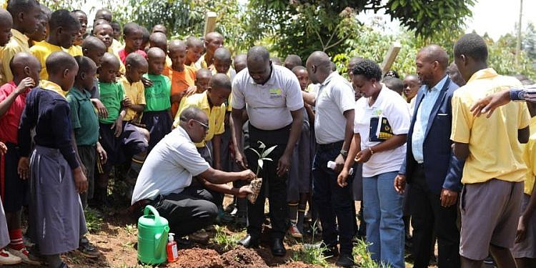 Microfinance Support Centre plants 800 fruit trees in Butambala to replenish environment