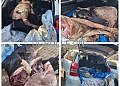 Three arrested with slaughtered cows hidden in car boot in Nakulabye