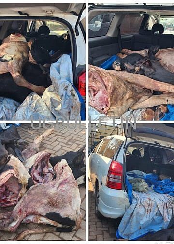 Three arrested with slaughtered cows hidden in car boot in Nakulabye